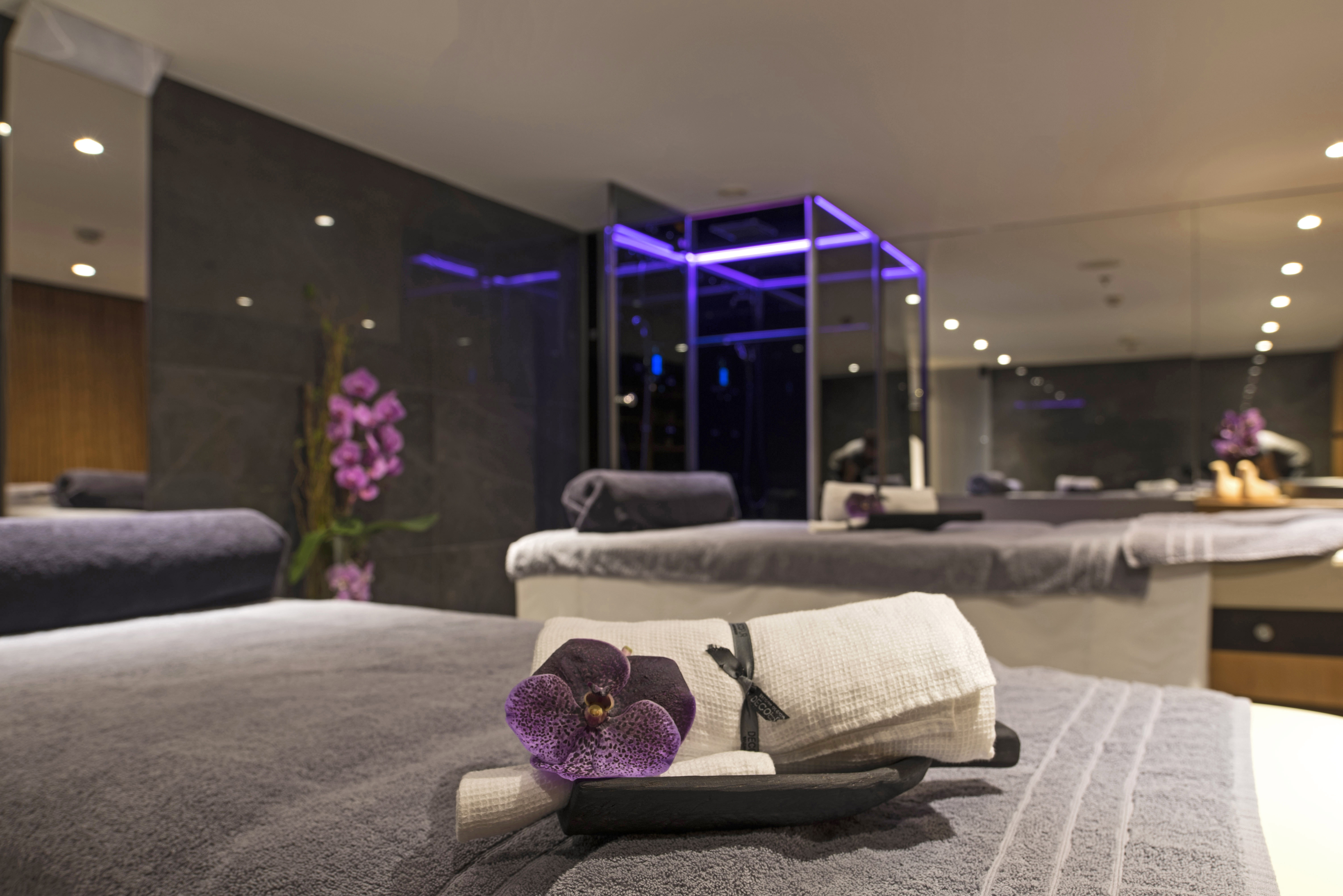 Scenic Jewel - Wellness Area